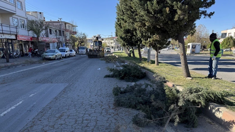 Büyükşehir, Fırtınanın Oluşturduğu Tahribatı Ortadan Kaldırıyor