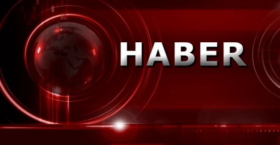 Silah ve Mühimmat Kaçakçılığı Yapan Jandarma Tarafından Düzenlenen 