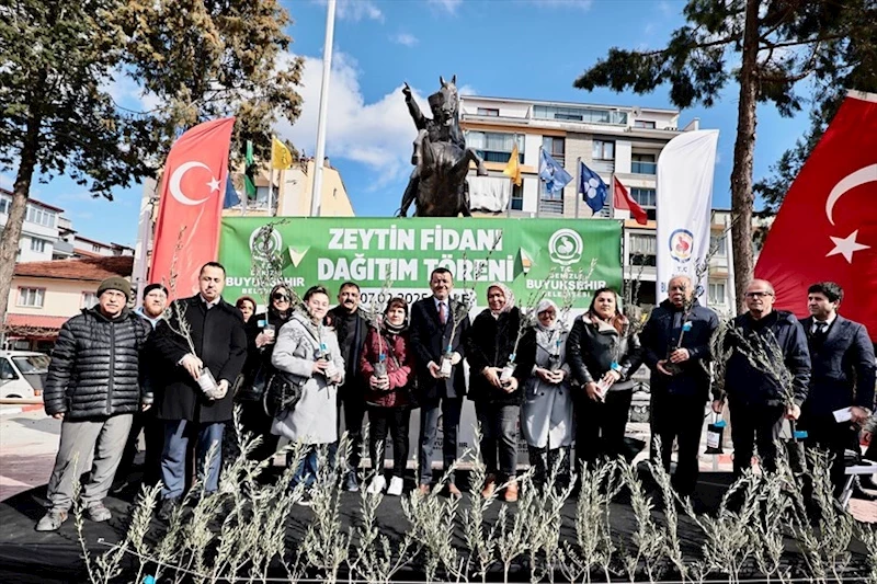 Zeytin fidanları toprakla buluşuyor, Denizli kazanıyor